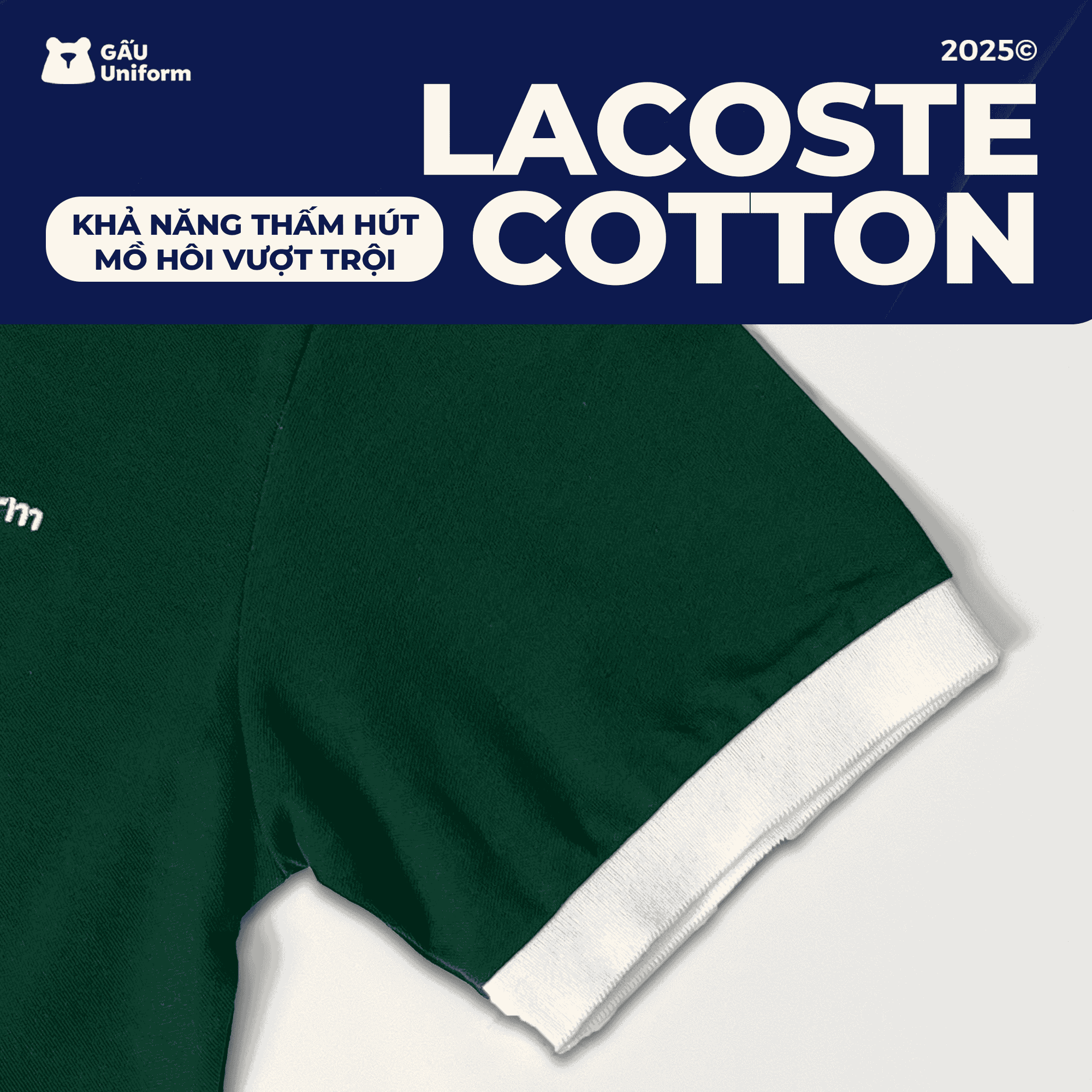 Vải lacoste cotton đồng phục phúc long Vải lacoste cotton đồng phục phúc long